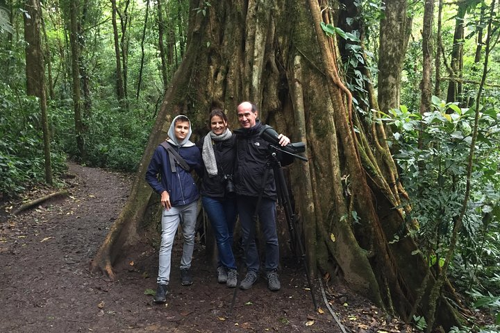 Monteverde Private Guided Afternoon Nature Walk - Photo 1 of 10